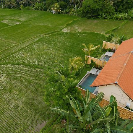 Uma Rimbun Pool Villa By Uniquecations Ubud Eksteriør bilde