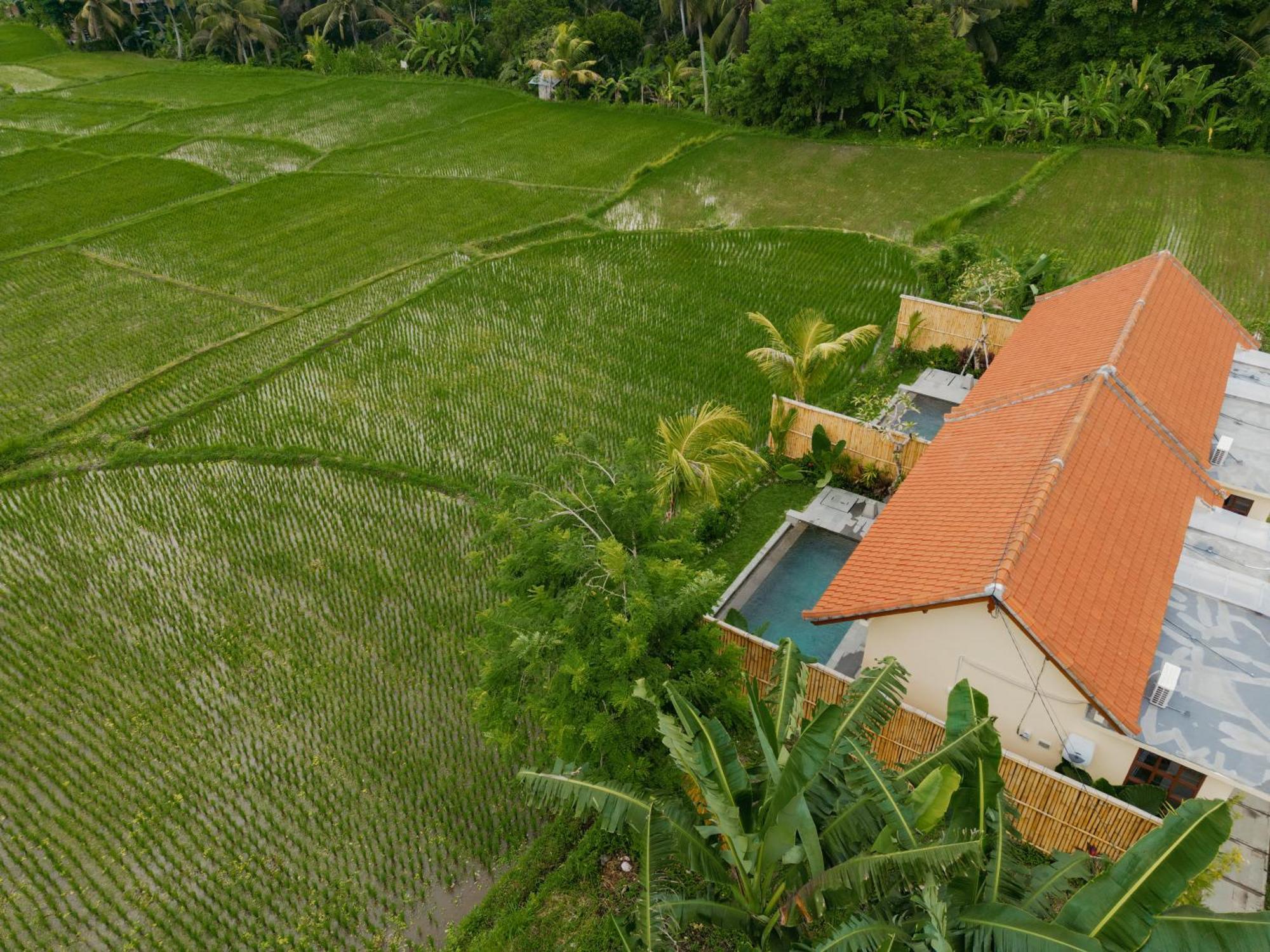 Uma Rimbun Pool Villa By Uniquecations Ubud Eksteriør bilde